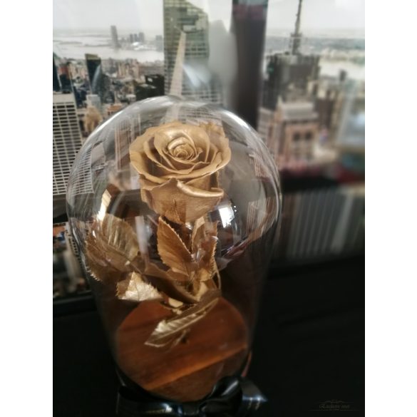 Gold Örök Rózsa