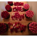 Exclusive Roses Minden NŐ Àlma....