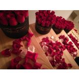 Exclusive Roses Minden NŐ Àlma....