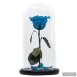 Light Blue Örök Rózsa 