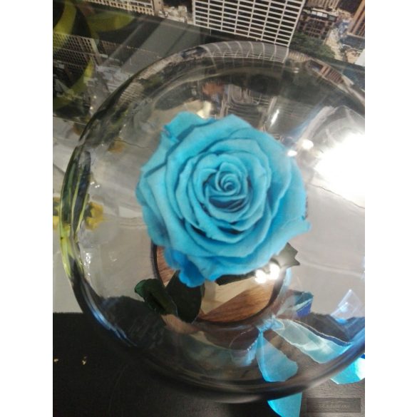 Light Blue Örök Rózsa 