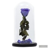 Lila Örök Rózsa kicsi búrában