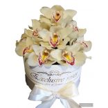 Orchidea Box