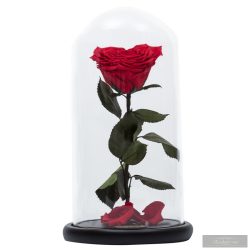 SZÍV alakú Örök Rózsa Nagy Búrában LIMITED EDITIONS