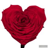 SZÍV alakú Örök Rózsa Nagy Búrában LIMITED EDITIONS