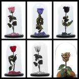 Vörös Rózsa  üveg búrában