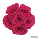 Exclusive Örök Rózsa