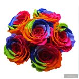 Exclusive Örök Rózsa