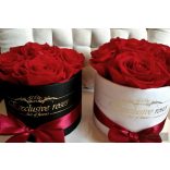 Exclusive Örök Rózsa