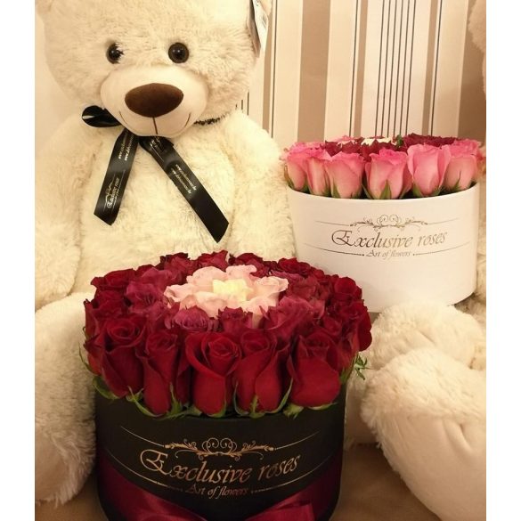 EXCLUSIVE MACI 100 cm 