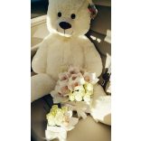 EXCLUSIVE MACI 100 cm 