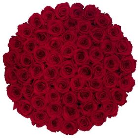 Exclusive Roses®Premium Box 100 szàl